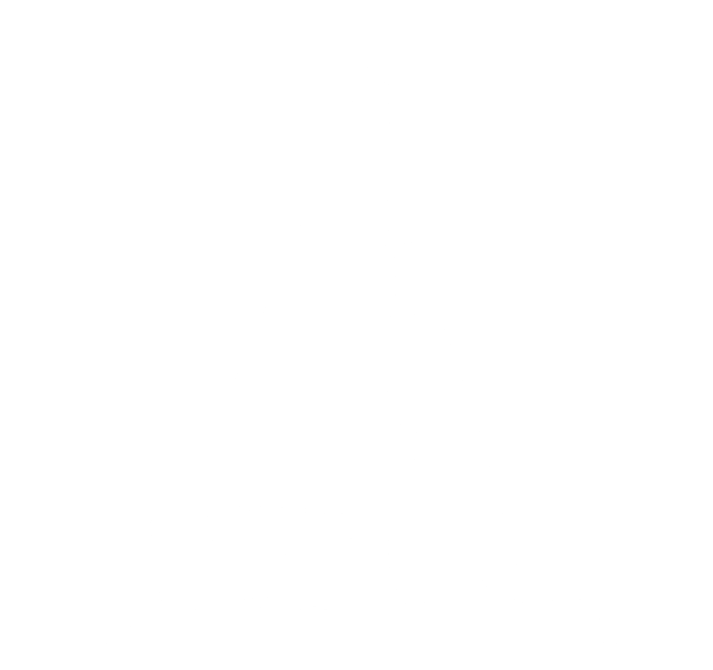 catamaran blanc spinaker